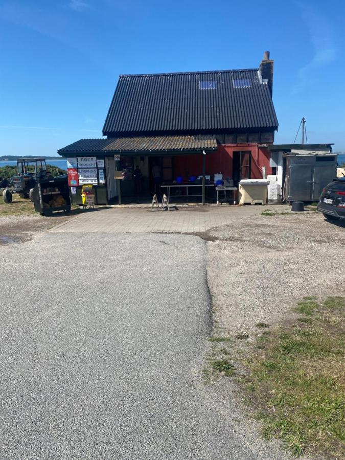 Nyhus, Dragsmur, Mols Knebel Esterno foto
